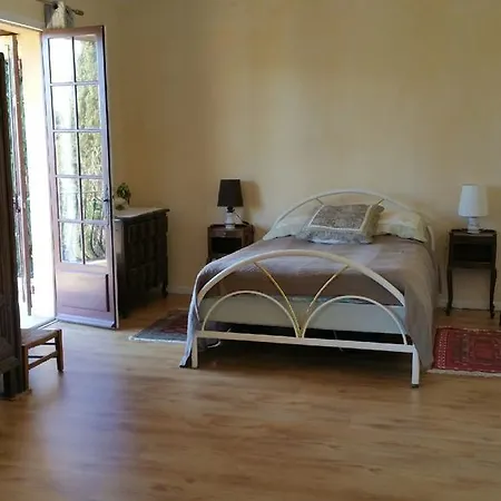 Villa Les Amphores Cannes